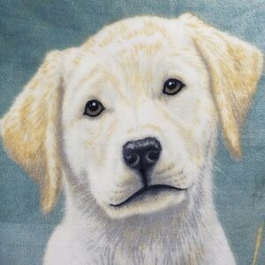 James Hautman Yellow Labrador Retriever Fleece Throw Blanket Northwest Co Puppy